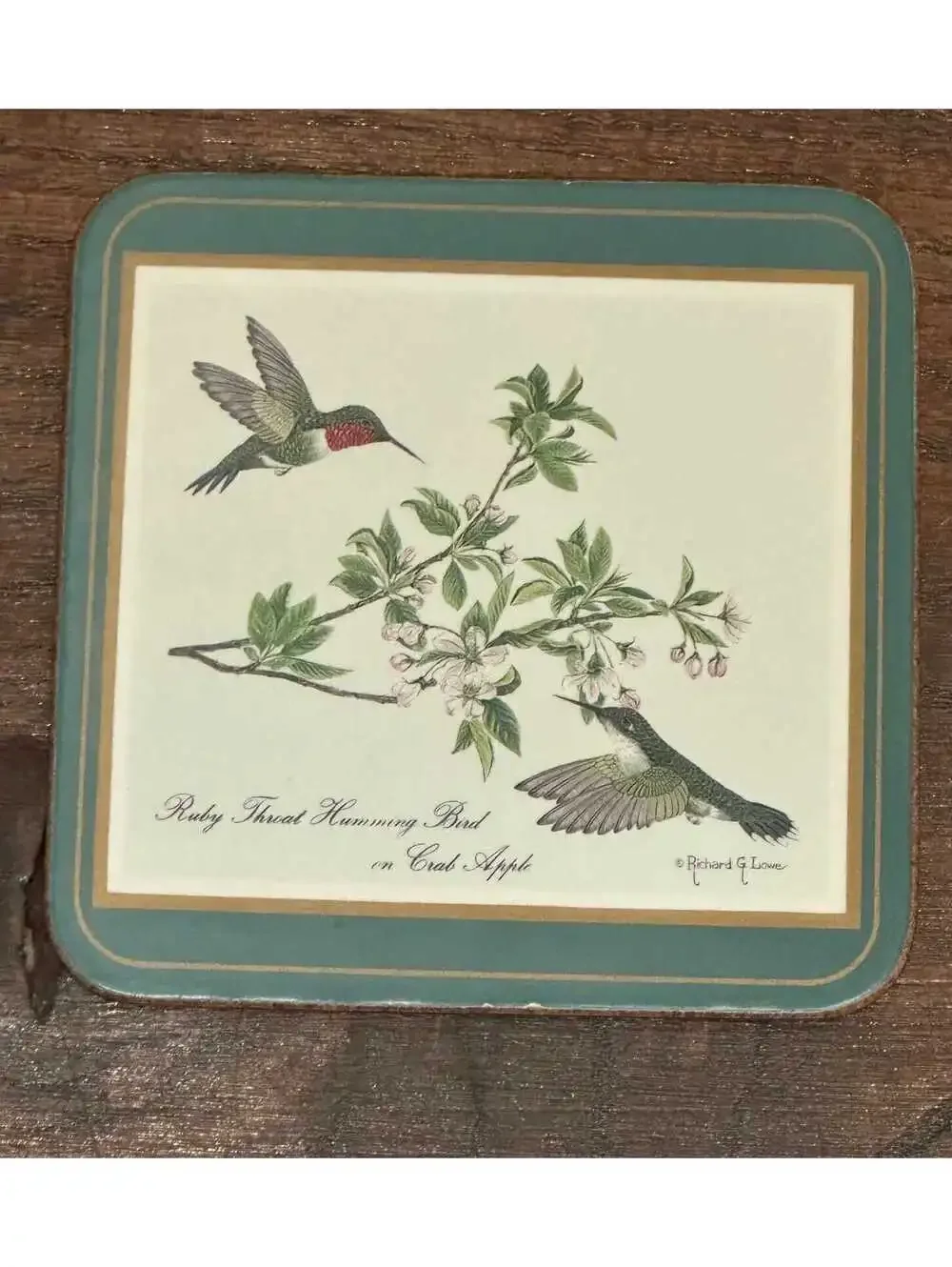 Vintage Pimpernel North American Song Birds Cork Back Coaster Set 5pc